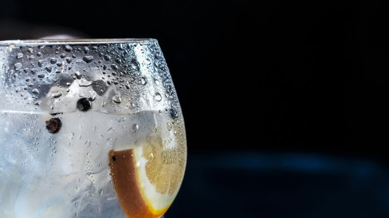 From Medicinal Tonic to Modern Classic: The Spirited History of Gin